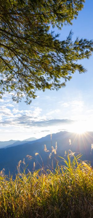 Chiayi alishan sunrise in alishan national park