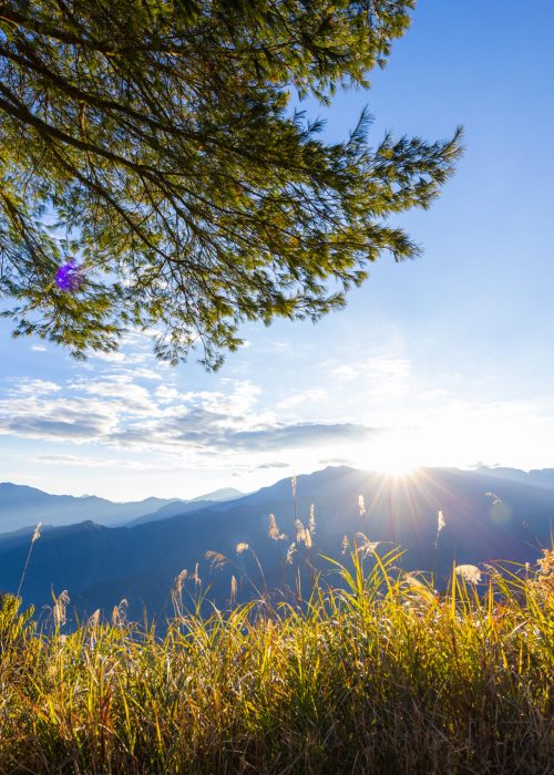 Chiayi alishan sunrise in alishan national park